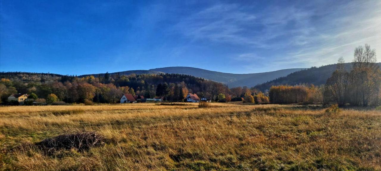 Dom Na Przedgorzu Daire Świeradów-Zdrój Dış mekan fotoğraf