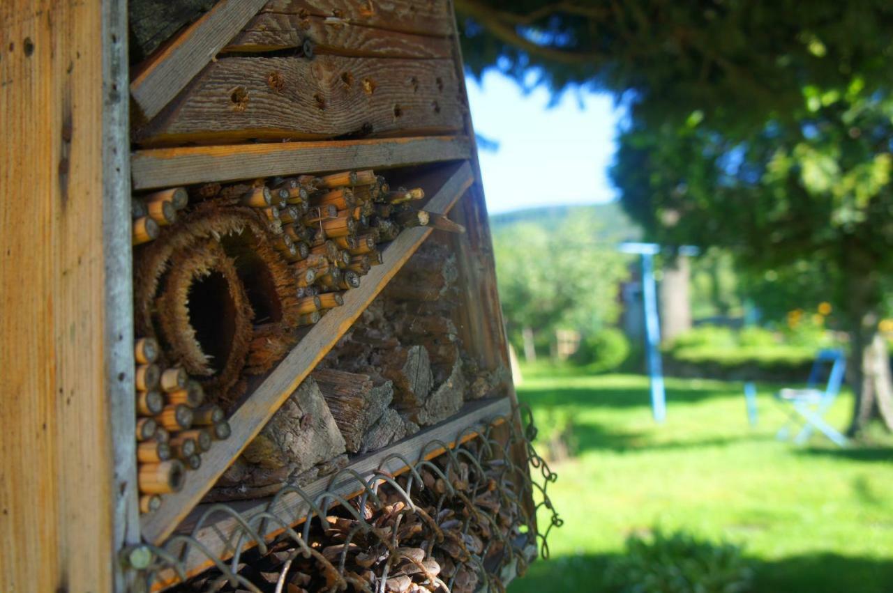 Dom Na Przedgorzu Daire Świeradów-Zdrój Dış mekan fotoğraf